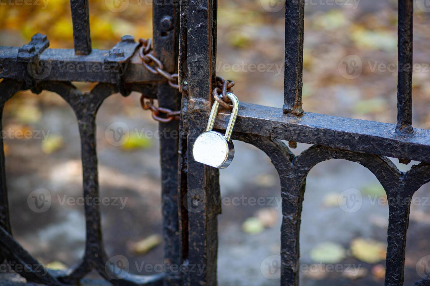 Antique lattice gates closed on a chain with a padlock. The passage is closed. photo