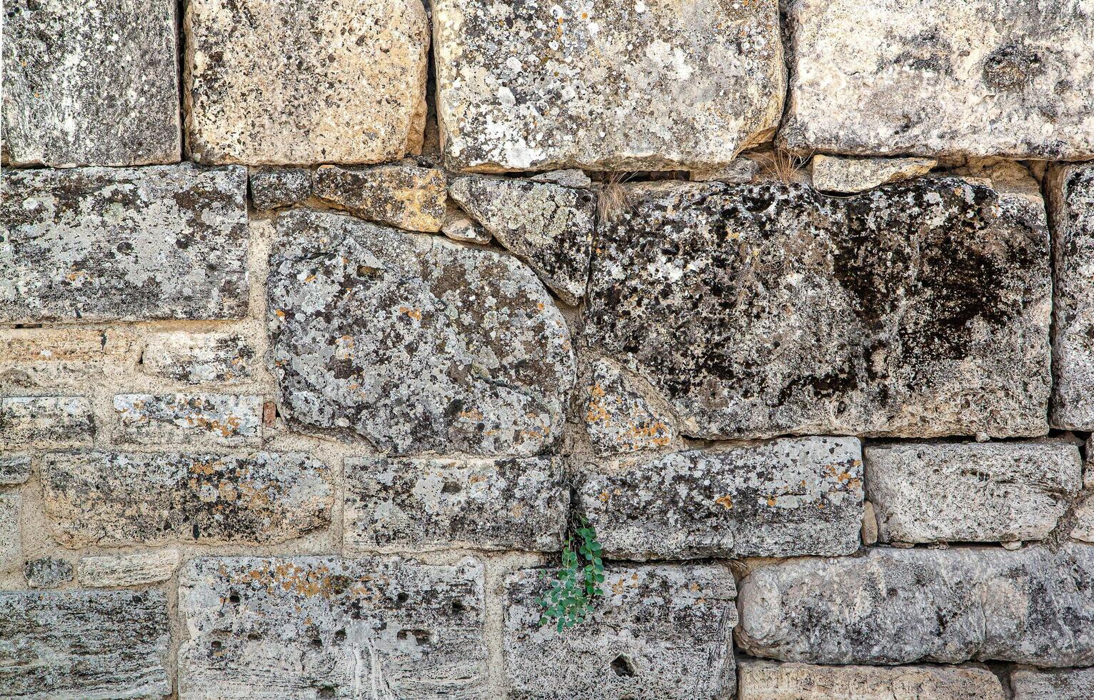 The texture of the old wall. Vintage brick back. The wall is made of shell rock of various rectangular shapes. photo