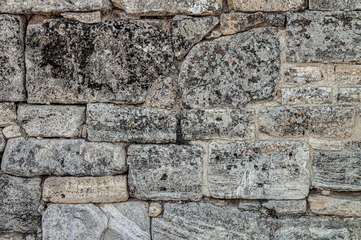 The texture of the old wall. Vintage brick back. The wall is made of shell rock of various rectangular shapes. photo