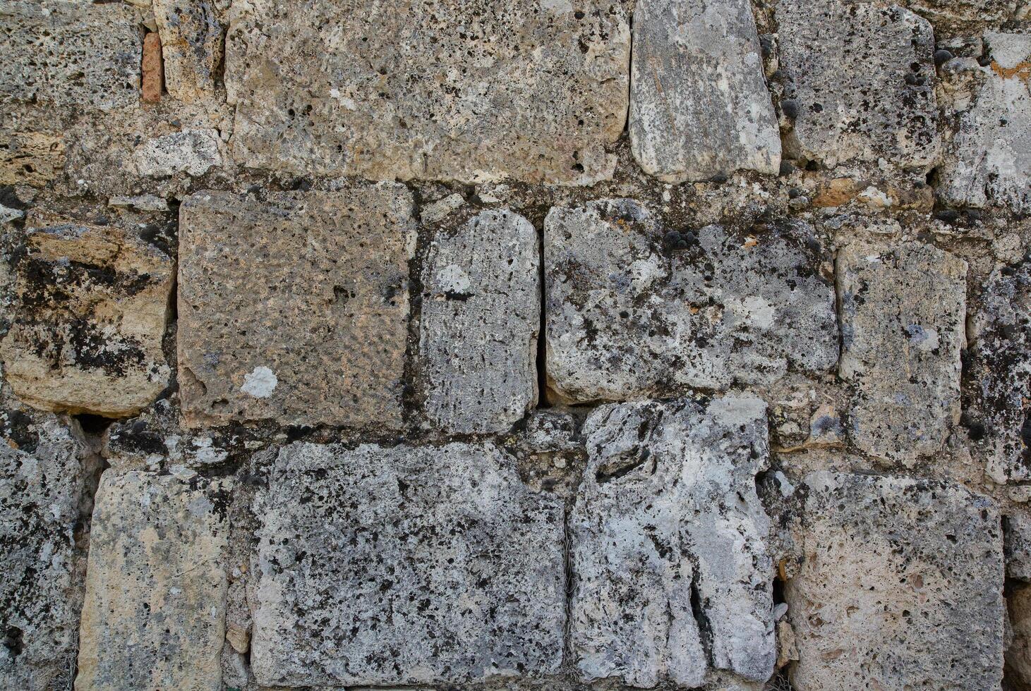 Texture of an old stone wall. Vintage back from shell rock. photo