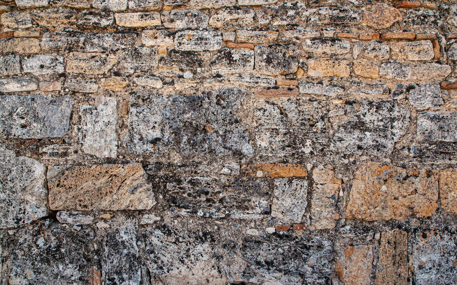 Brick wall of yellow shell rock. Closeup of shellstone texture. Background wall with shell rock. Texture limestone. Old wall. photo
