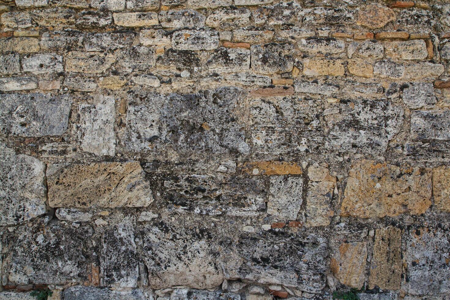 Texture of an old stone wall. Vintage back from shell rock. photo