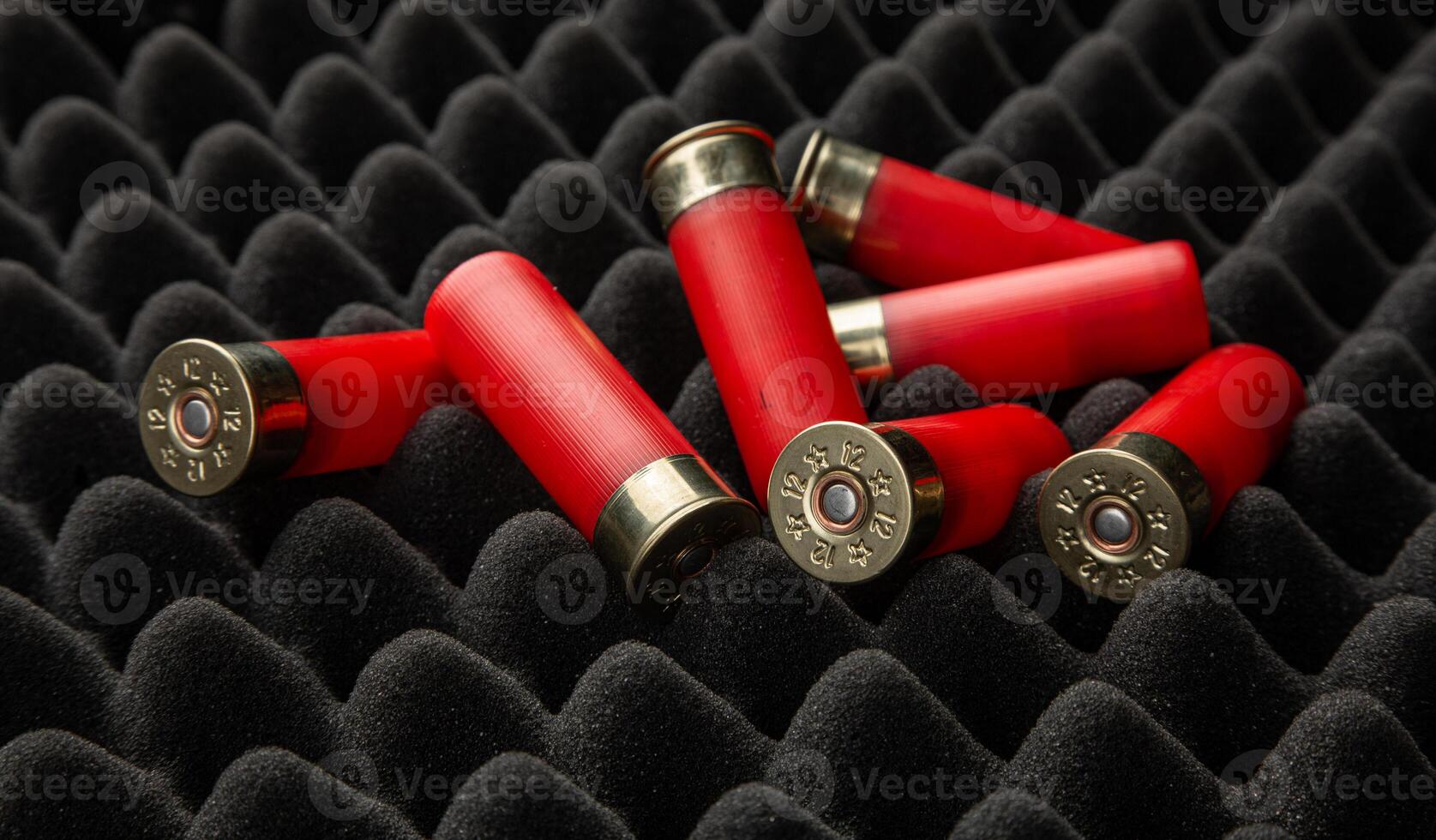 Shotgun shells on foam rubber. Ammunition for 12 gauge smoothbore weapons. Hunting ammunition. Dark back. photo
