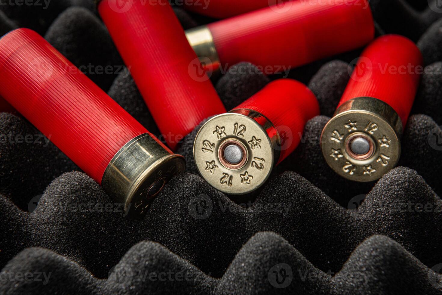 Shotgun shells on foam rubber. Ammunition for 12 gauge smoothbore weapons. Hunting ammunition. Dark back. photo