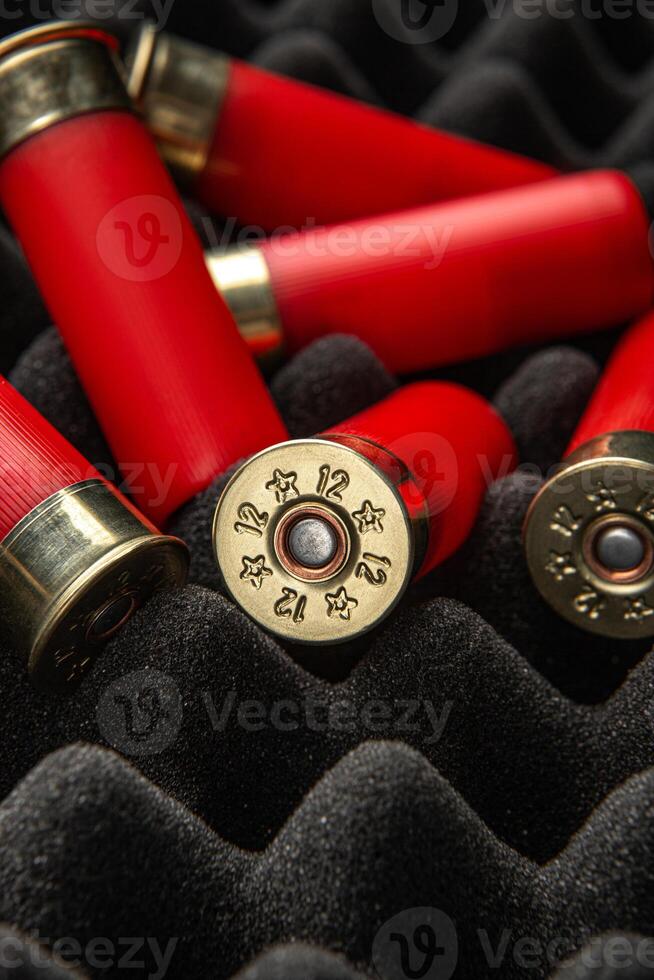 Shotgun shells on foam rubber. Ammunition for 12 gauge smoothbore weapons. Hunting ammunition. Dark back. photo