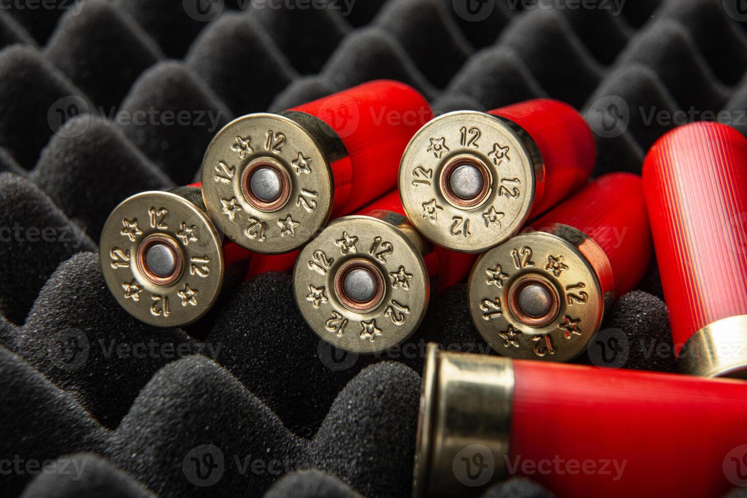 Shotgun shells on foam rubber. Ammunition for 12 gauge smoothbore weapons. Hunting ammunition. Dark back. photo