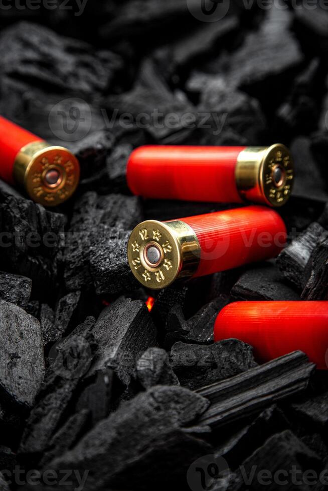 Shotgun cartridges on charcoal. Ammunition for 12 gauge smoothbore weapons. Hunting ammunition. Dark back. photo