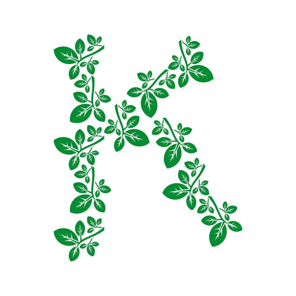 initials letter k leaf logo design vector