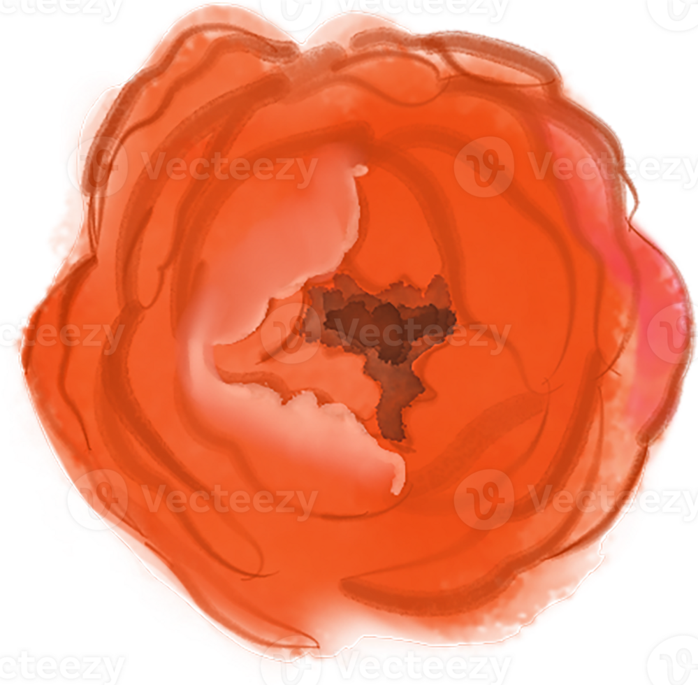 Orange Watercolor Peony png