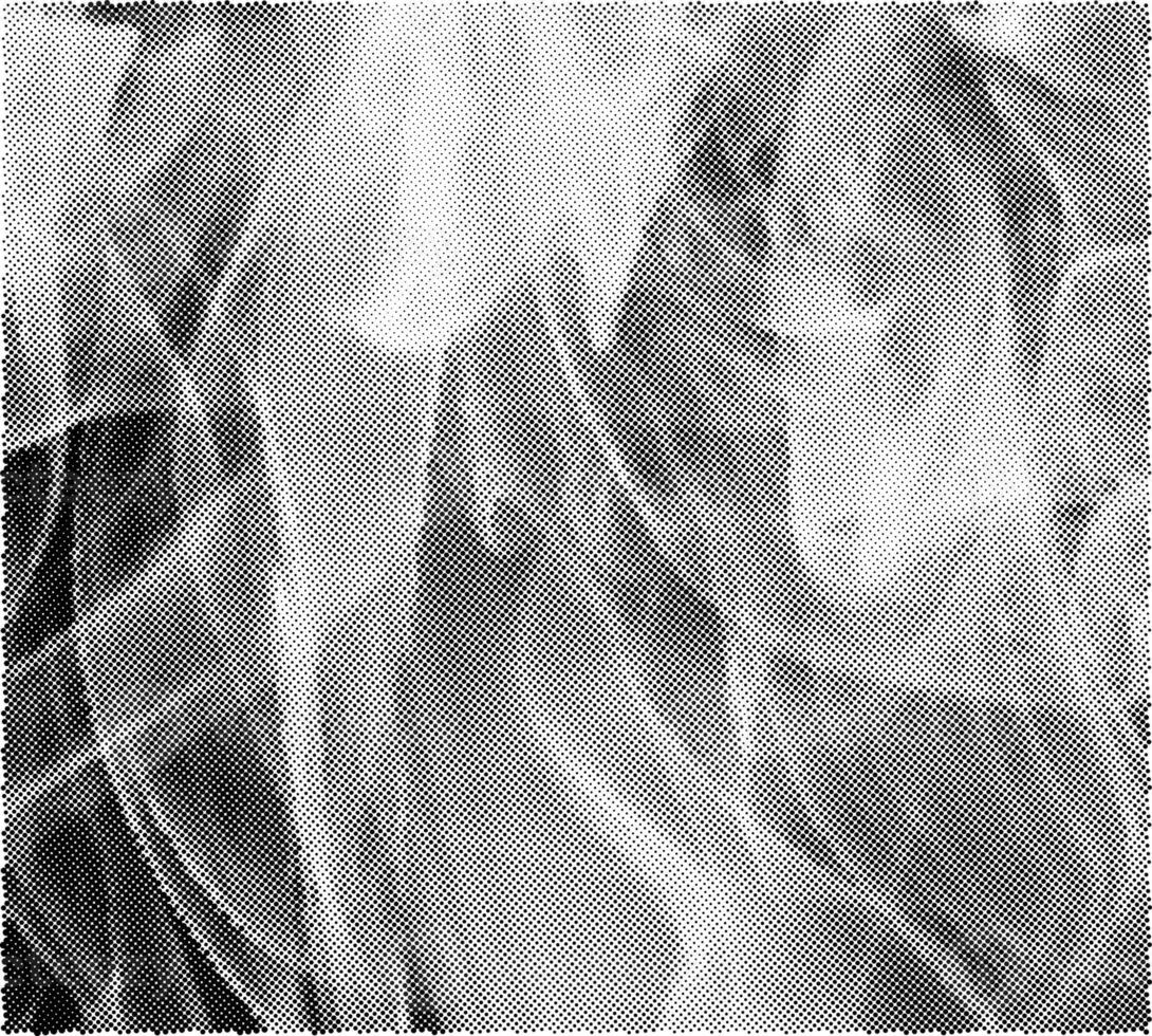 Abstract White Smoke Texture Moves on Black Background Plume of Smoke Wave Design Wallpaper. Design Element. Abstract Texture photo