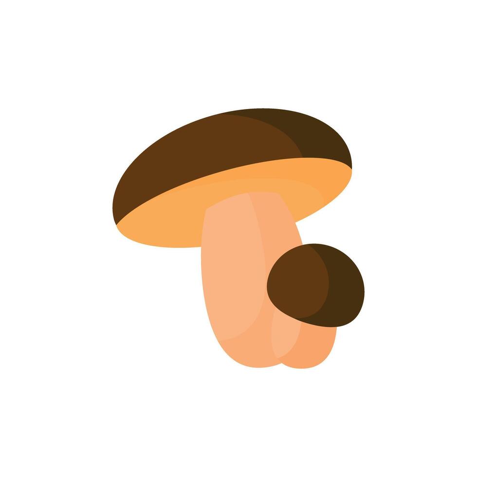 Porcini mushroom, edible forest mushrooms. Fresh fall seasonal boletus composition. Autumn fungus, cap and stalk. Botanical flat vector