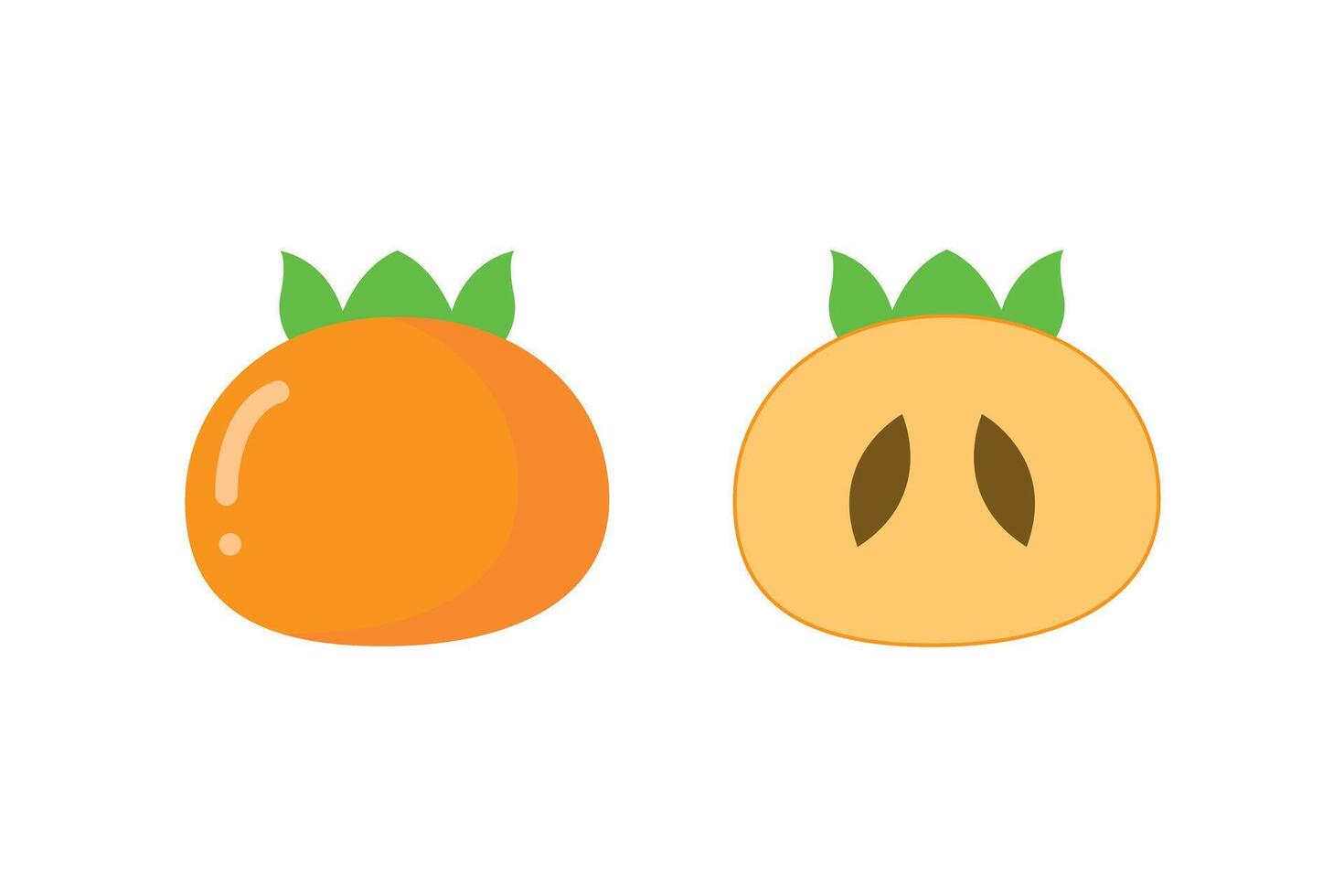 Persimmon cartoon. Persimmon on white background. vector