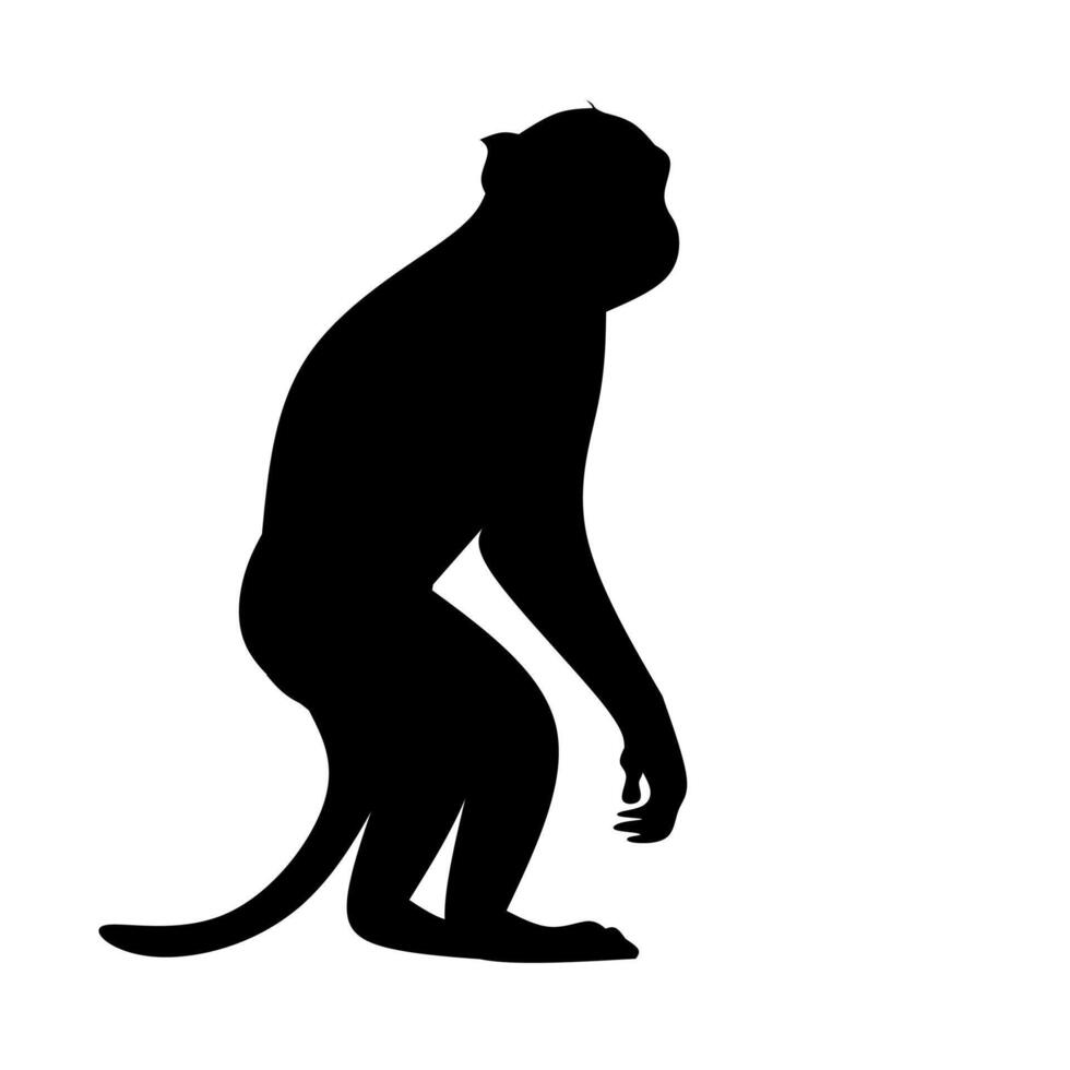 a silhouette of a monkey sitting on its hind legs vector