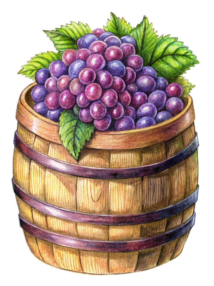 Ripe Grapes in a Wooden Barrel png