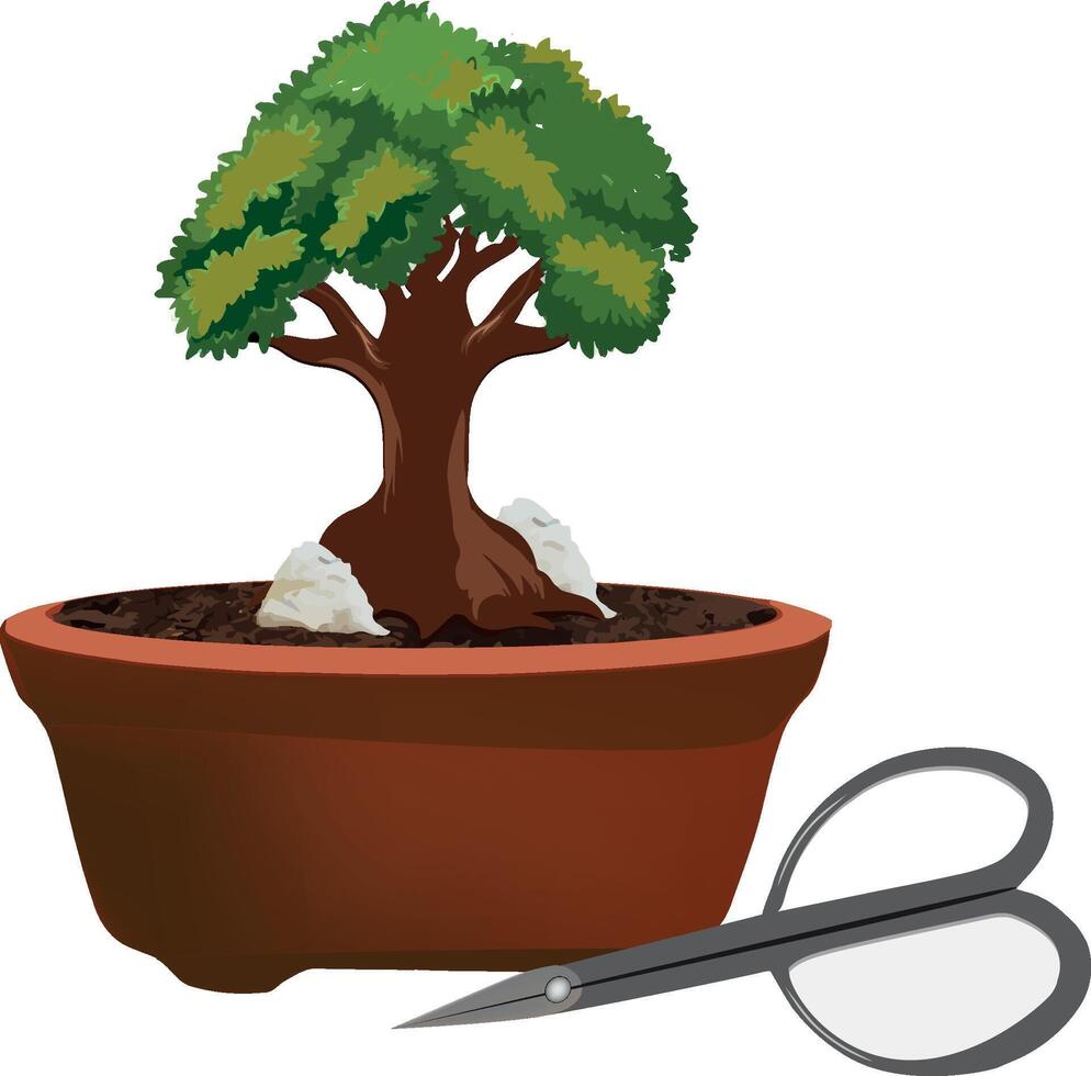 Bonsai cultivation and care of terracotta potted plants- vector