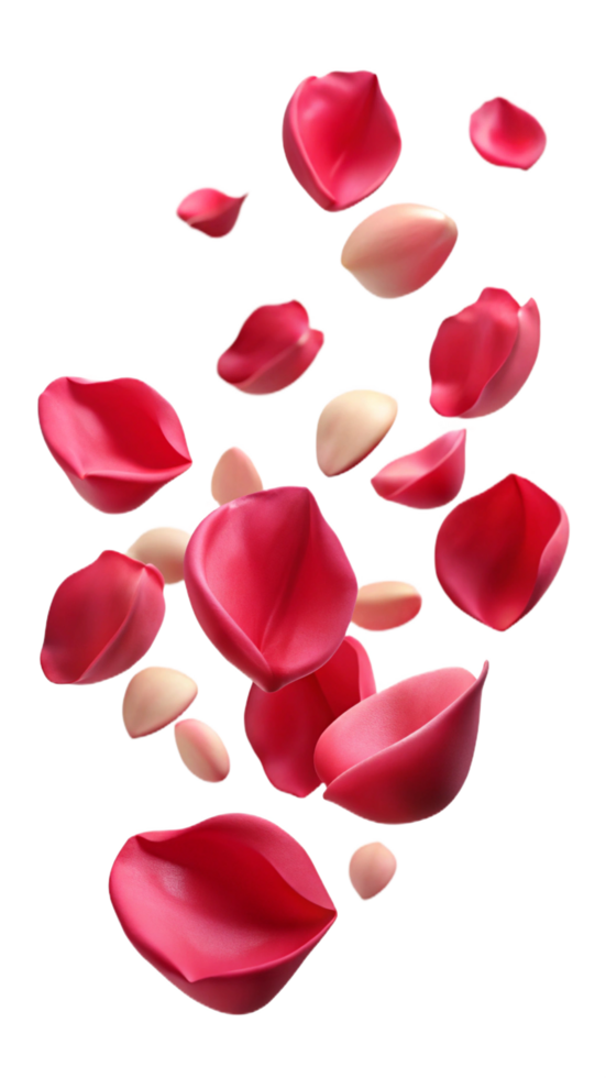Gently Falling Rose Petals png