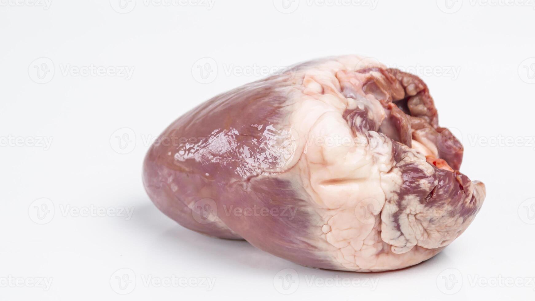 a large piece of pig heart on a white surface photo