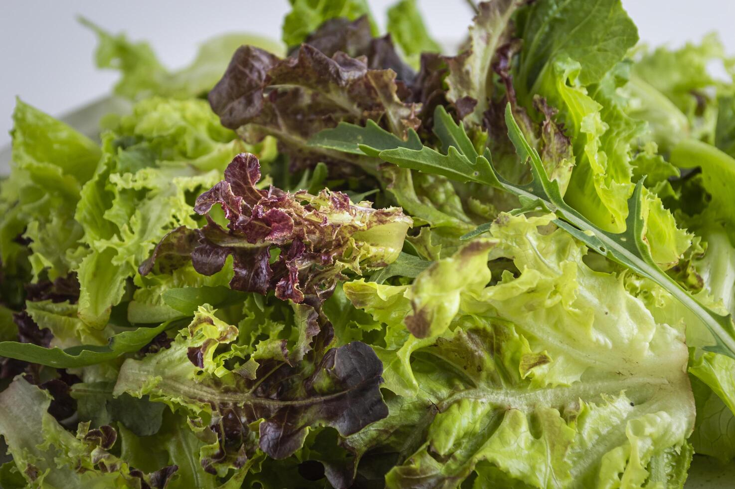 a salad with lettuce and greens on a white background photo