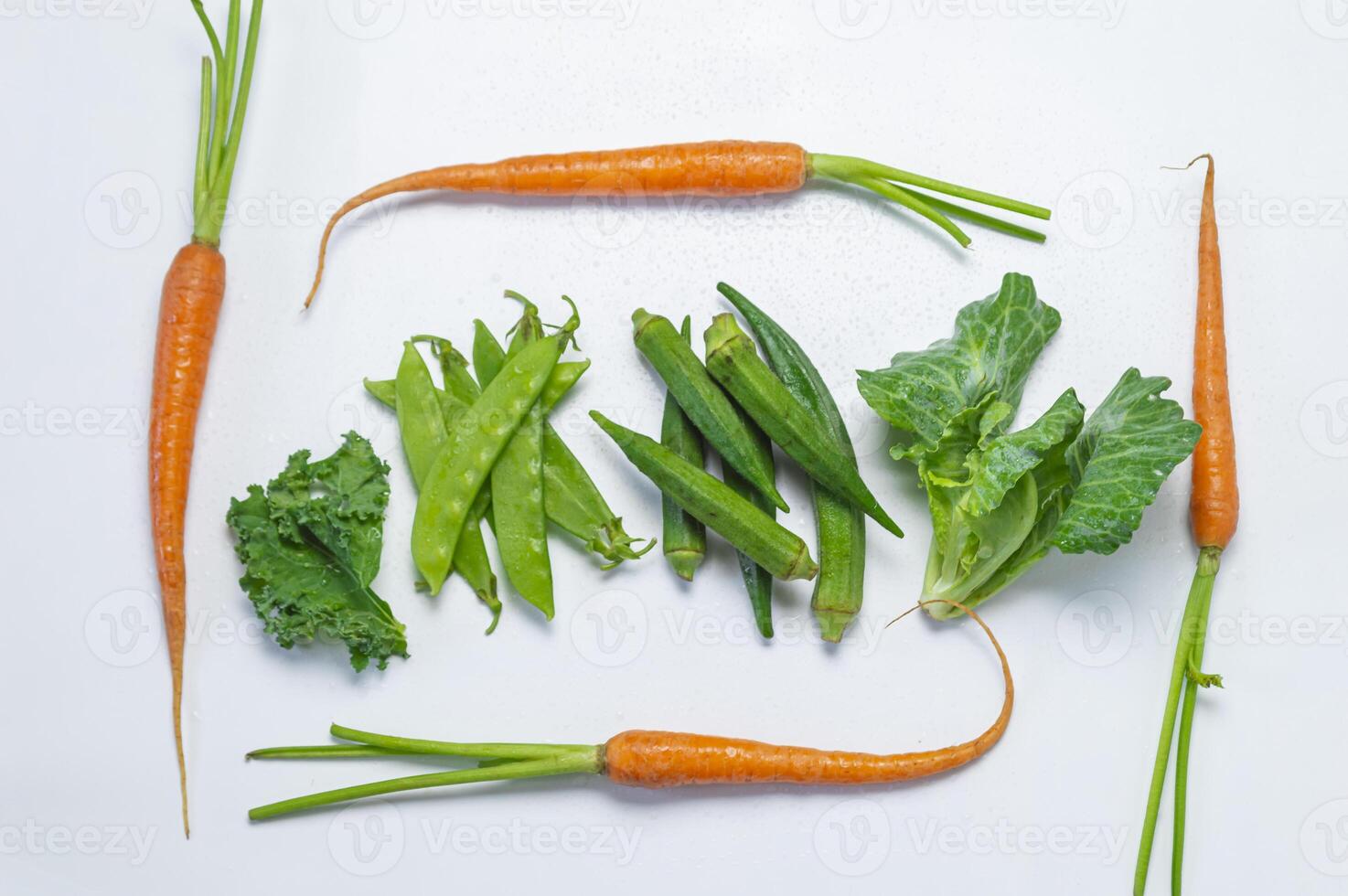 a group of vegetables arranged in a circle photo