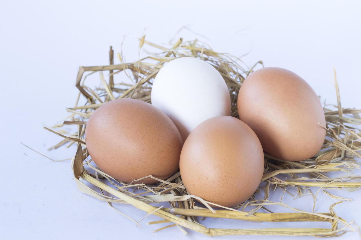 four eggs in a nest with straw photo