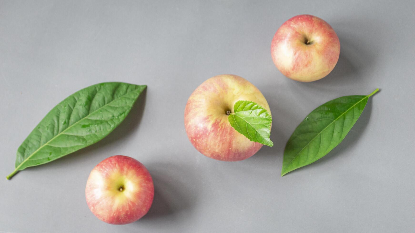 three apples with leaves on a gray background photo
