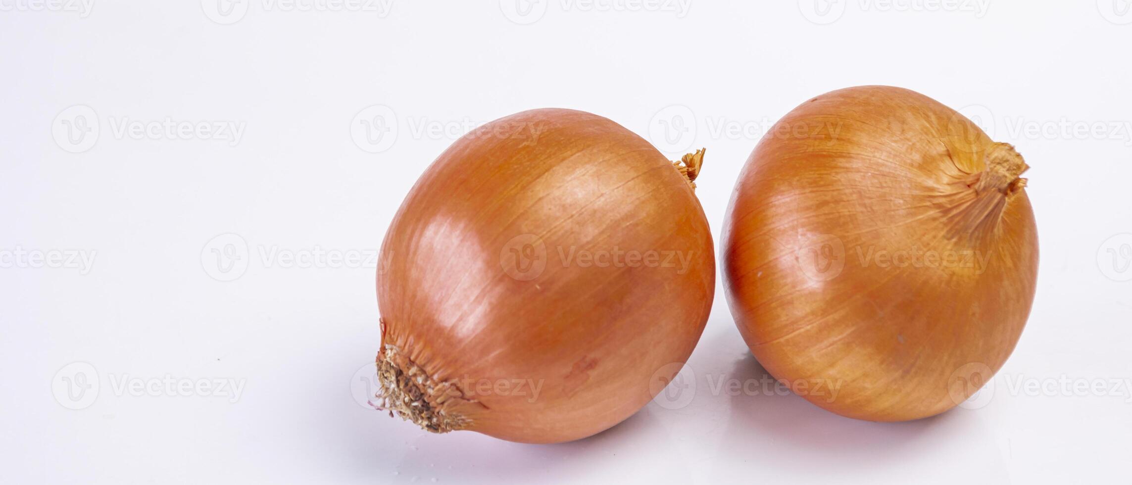 two onions on a white background photo