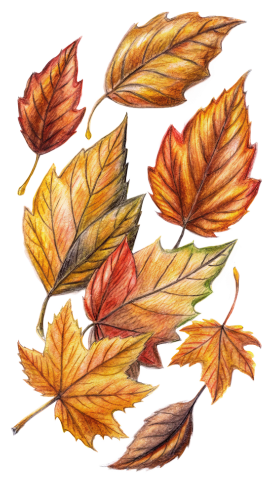 Colorful Flying Fall Foliage png