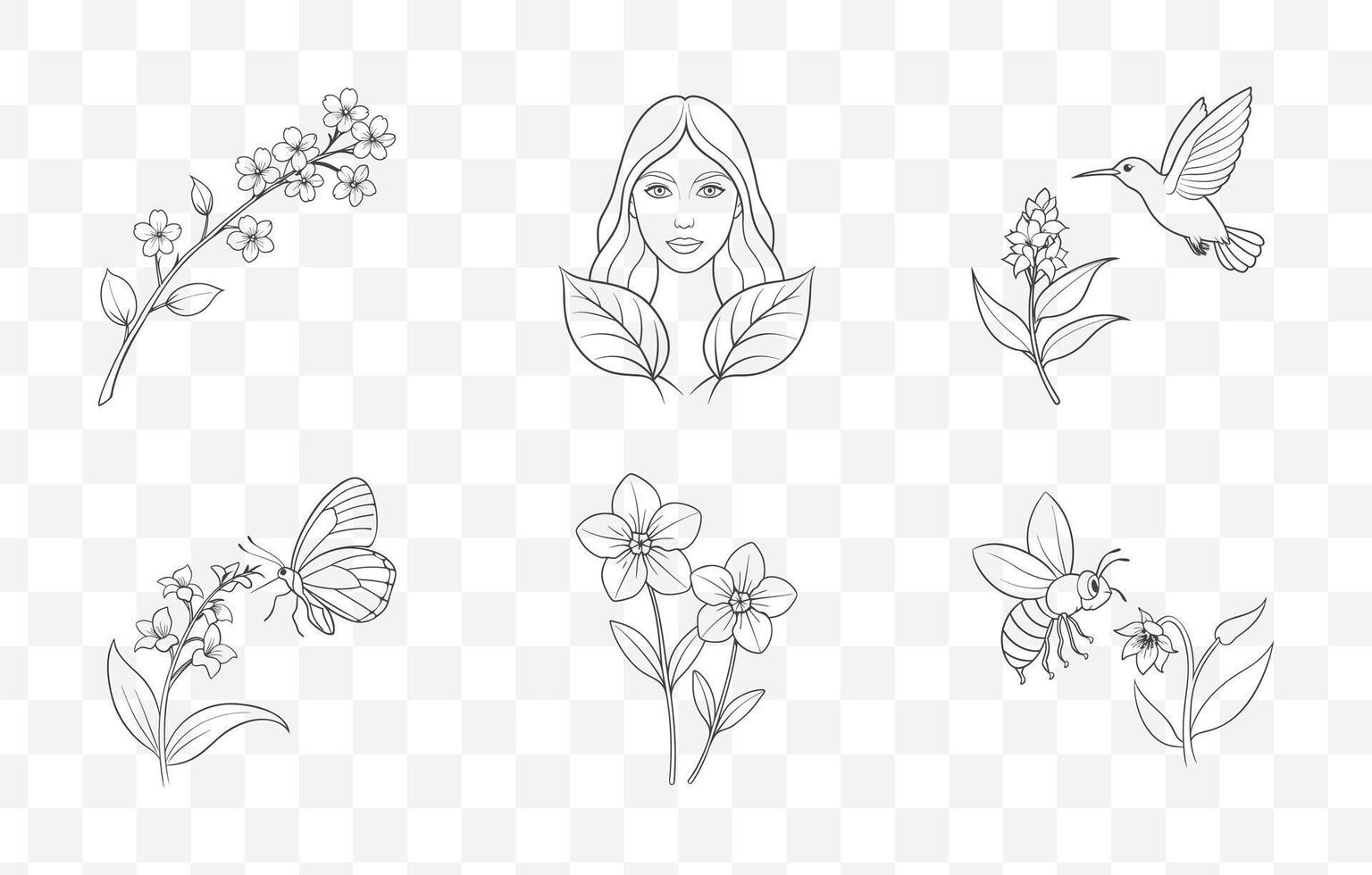 Print Veronica Flower Detailed Line Art Set for Floral Design and Botanical Illustration Projects vector