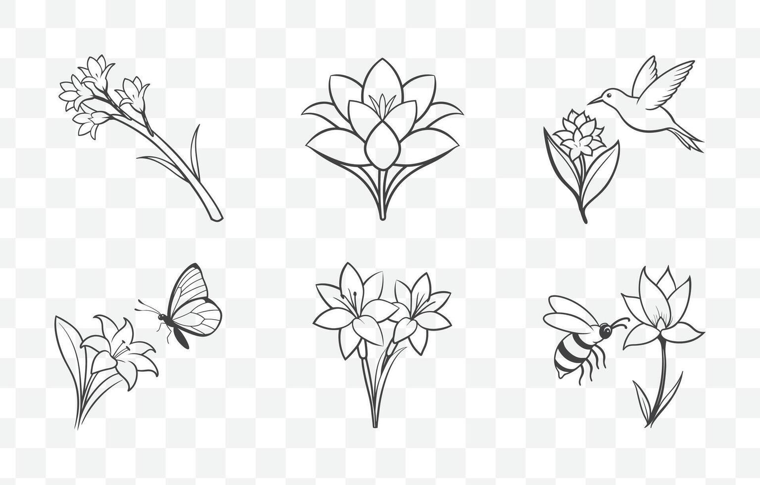 Print Tuberose Flower Line Art Set Elegant Botanical Illustrations for Design Projects and Artworks vector