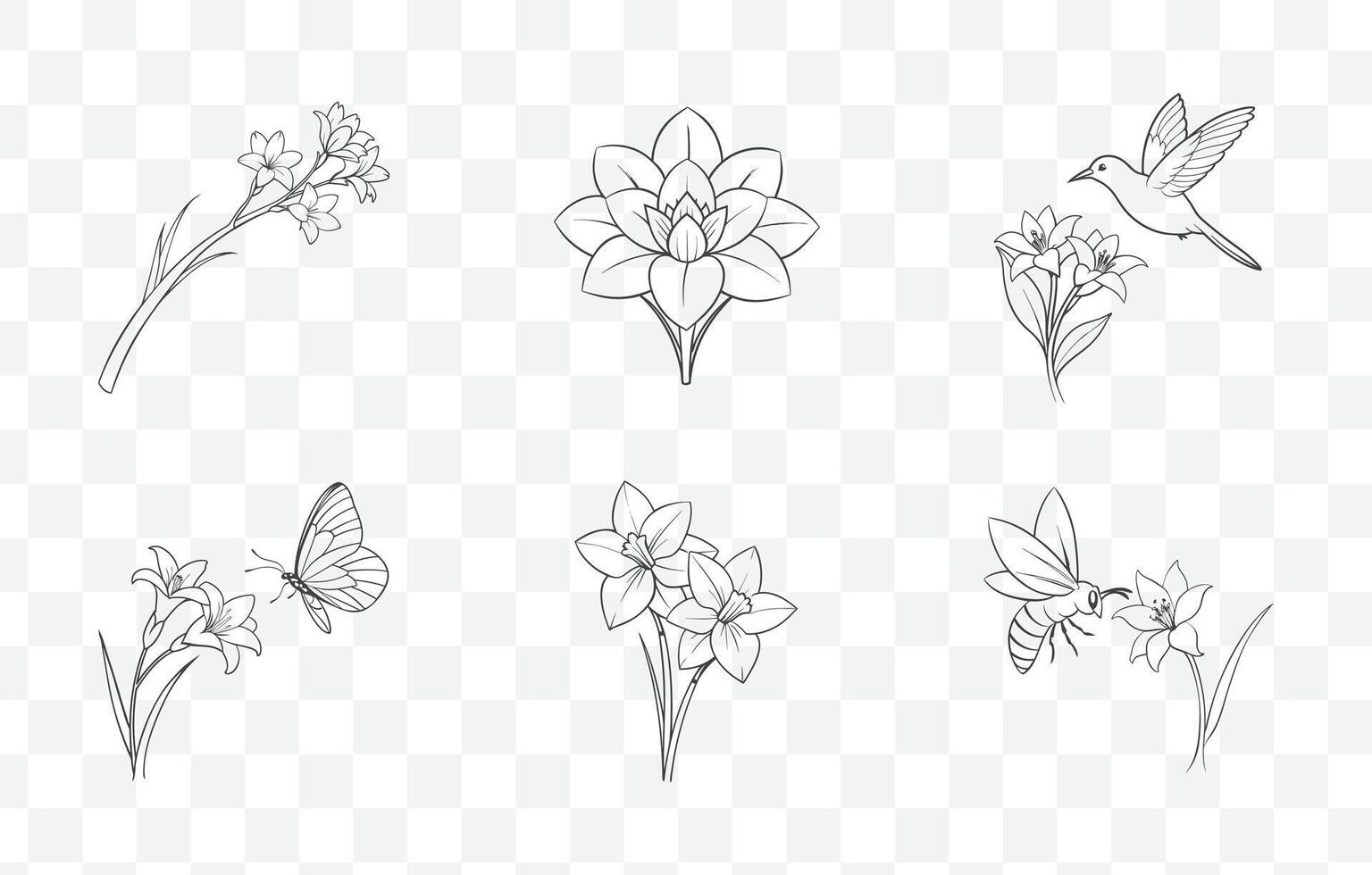 Print Tuberose Flower Line Art Set Elegant Botanical Illustrations for Design Projects and Artworks vector