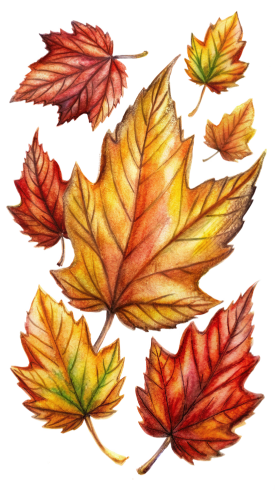 Floating Fall Leaves png