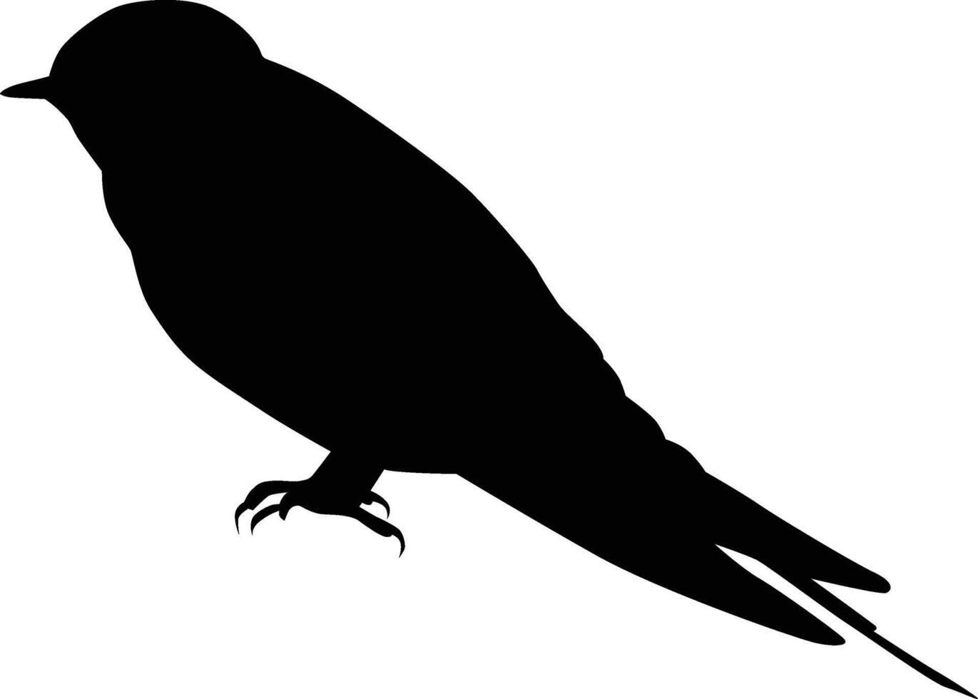 Swallow bird silhouette full body facing left vector