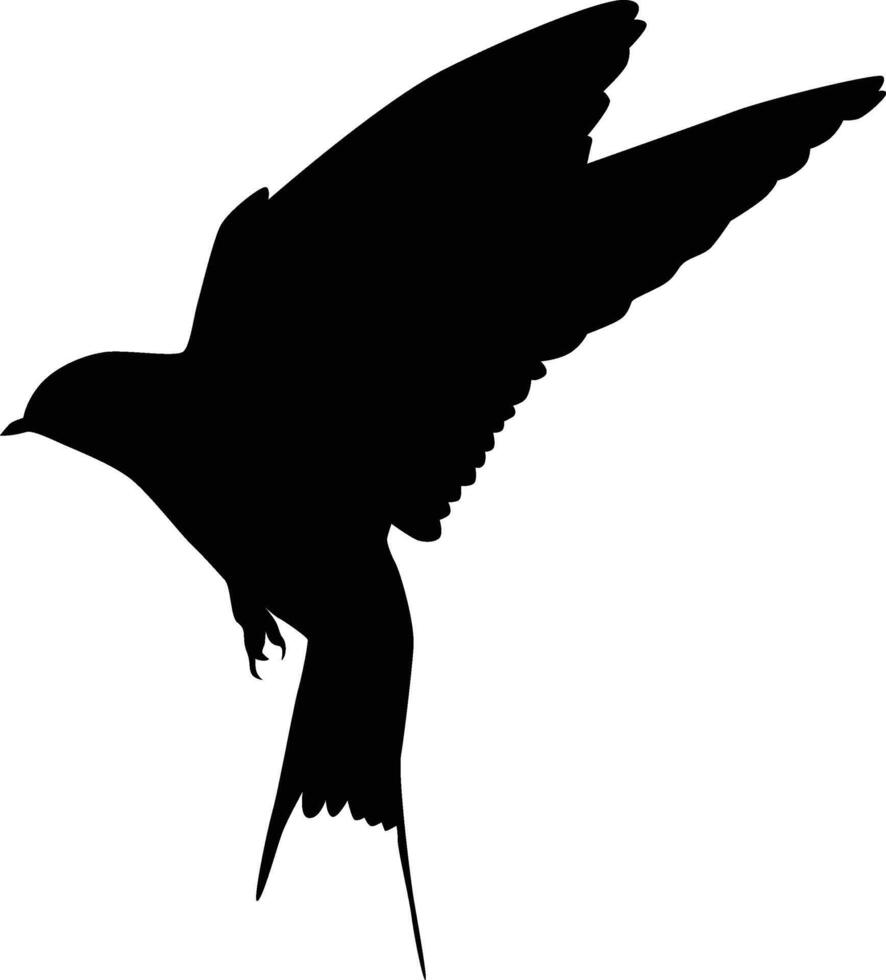 Swallow bird flying silhouette vector