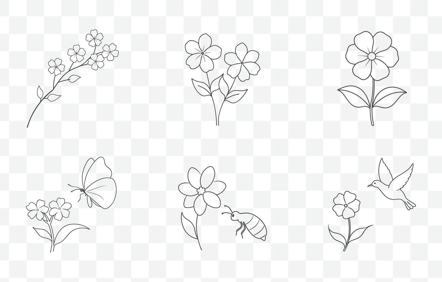 Print Creeping Phlox Flower Line Art Set with Detailed and Elegant Floral Illustrations vector