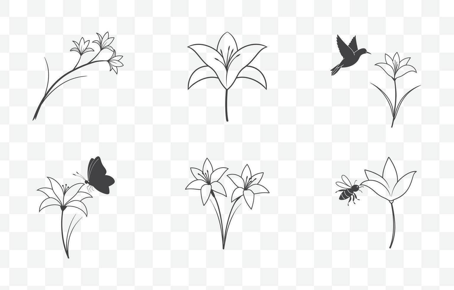 Print Zephyranthes Rain Lily Flower Line Art Set Elegant and Detailed Illustrations of Rain Lily Floral Designs for Creative Projects vector