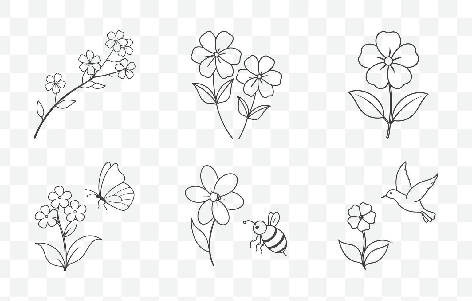 Print Creeping Phlox Flower Line Art Set with Detailed and Elegant Floral Illustrations vector