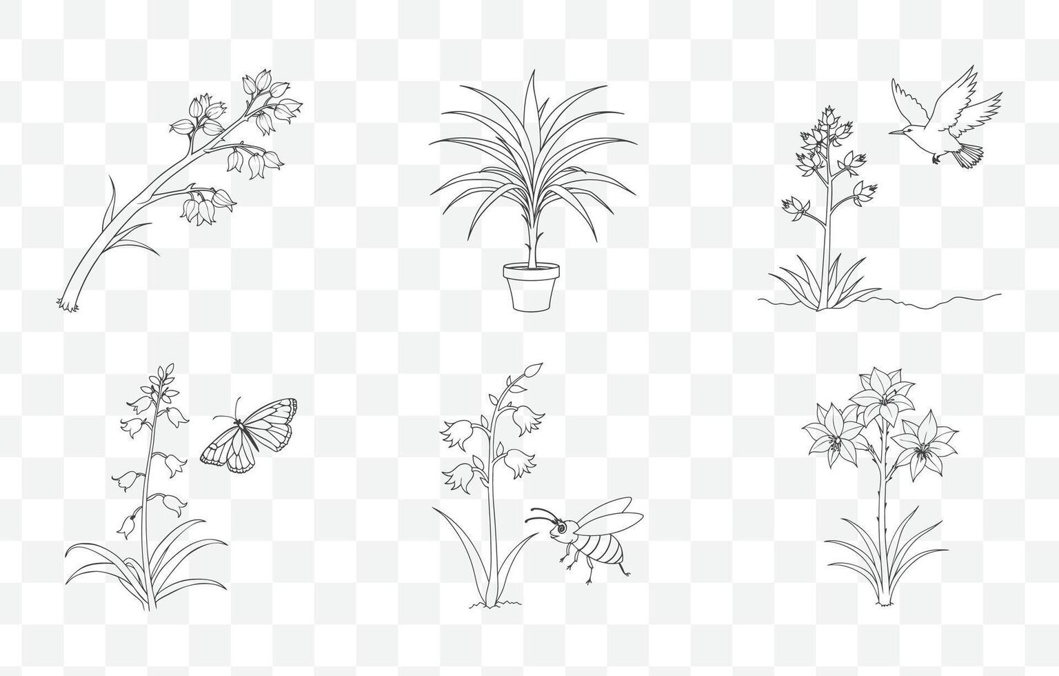 Print Yucca Flower Line Art Set for Digital Design and Illustration High-Quality Artwork vector