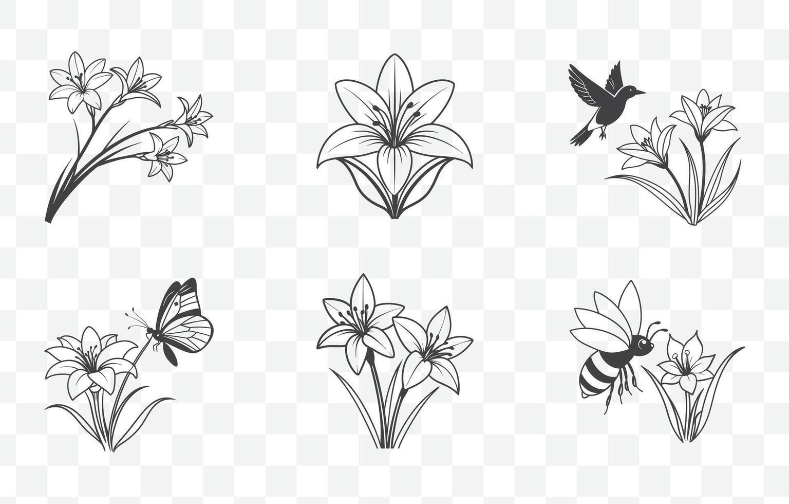 Print Zephyranthes Rain Lily Flower Line Art Set Elegant and Detailed Illustrations of Rain Lily Floral Designs for Creative Projects vector