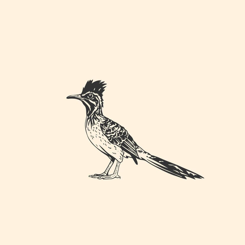 Eurasian Roadrunner bird - Colored Silhouette Illustration vector
