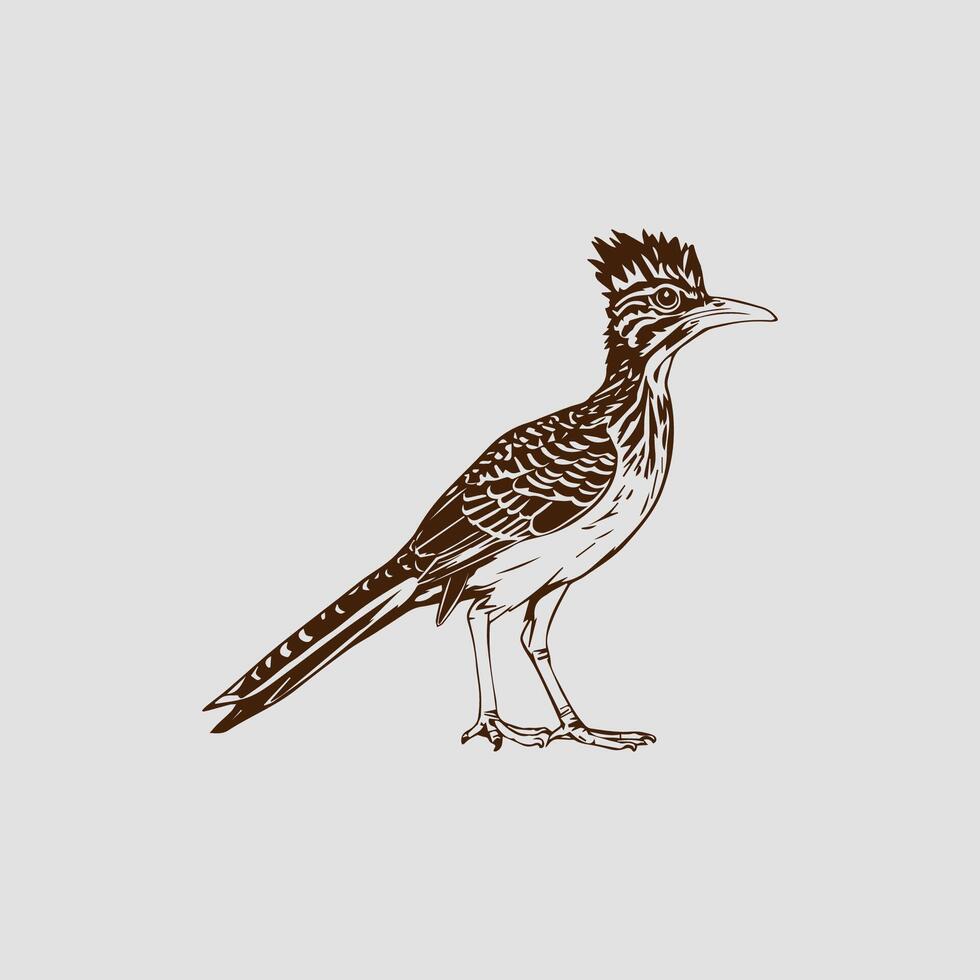 Eurasian Roadrunner bird - Colored Silhouette Illustration vector