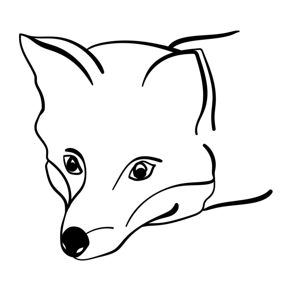 Outline muzzle of a fox, cute predatory animal for creativity or design vector