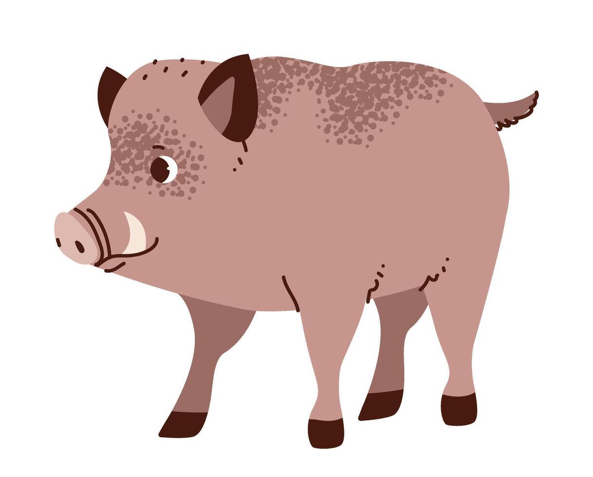 Wild boar isolated on white background. Forest pig. Flat illustration vector