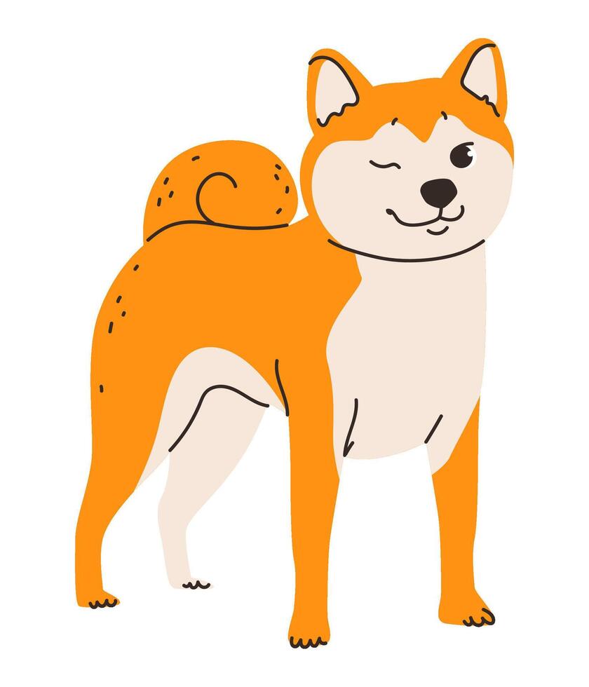 Flat illustration of a Shiba Inu dog. Breed's foxlike appearance and fluffy red coat vector