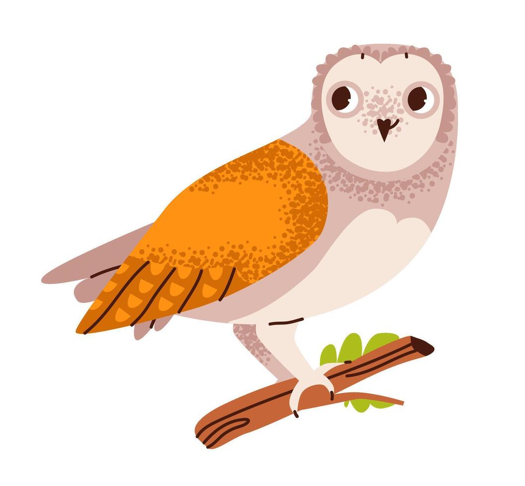 Cute owl isolated on white background. Wild predatory nocturnal bird. Flat illustration vector