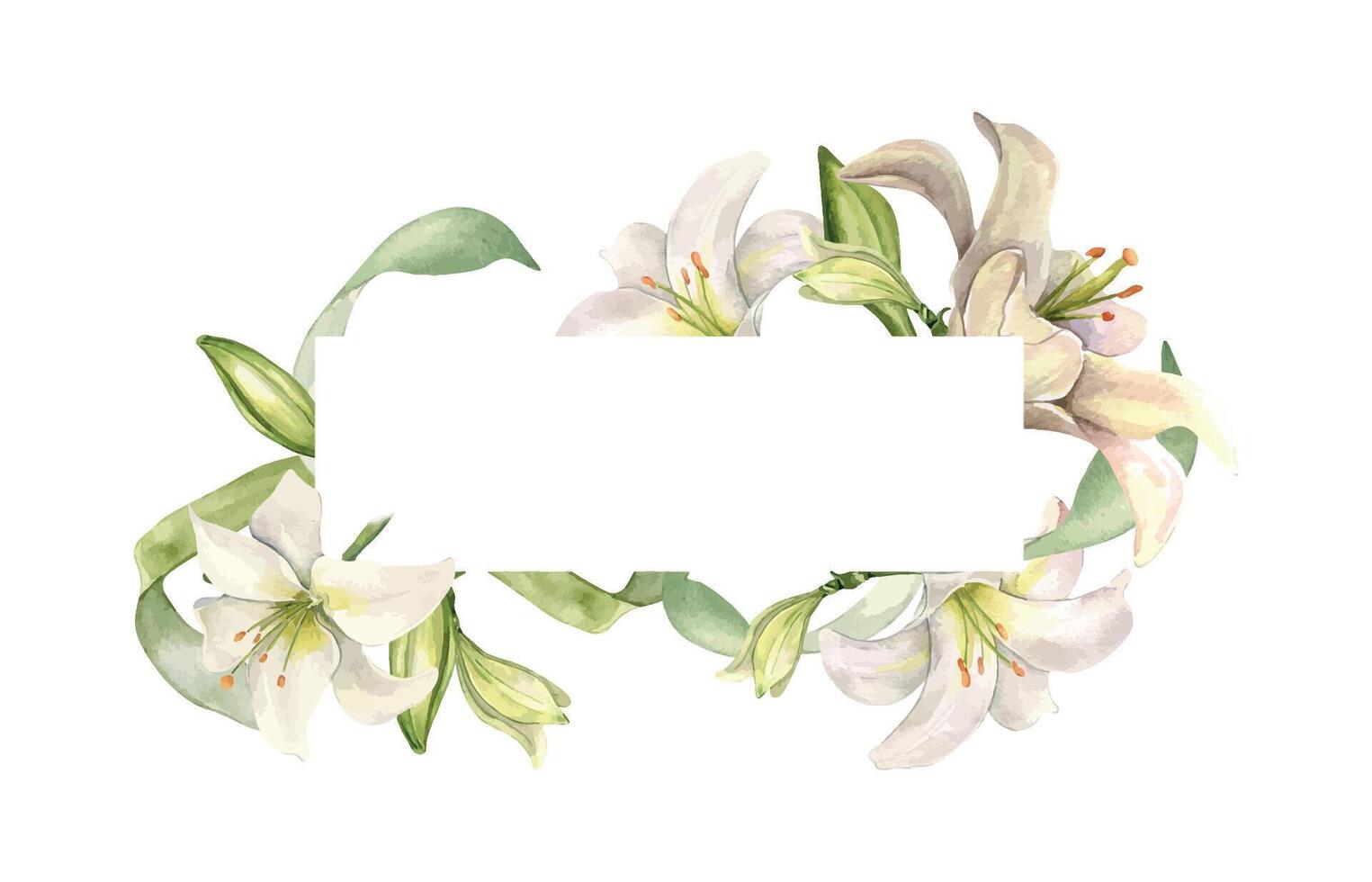 White lily and buds watercolor isolated on white. Frame of flowers pastel color botanical art hand drawn. Border with lily and leaves. Design for wedding invitation in church, christen, Easter card vector