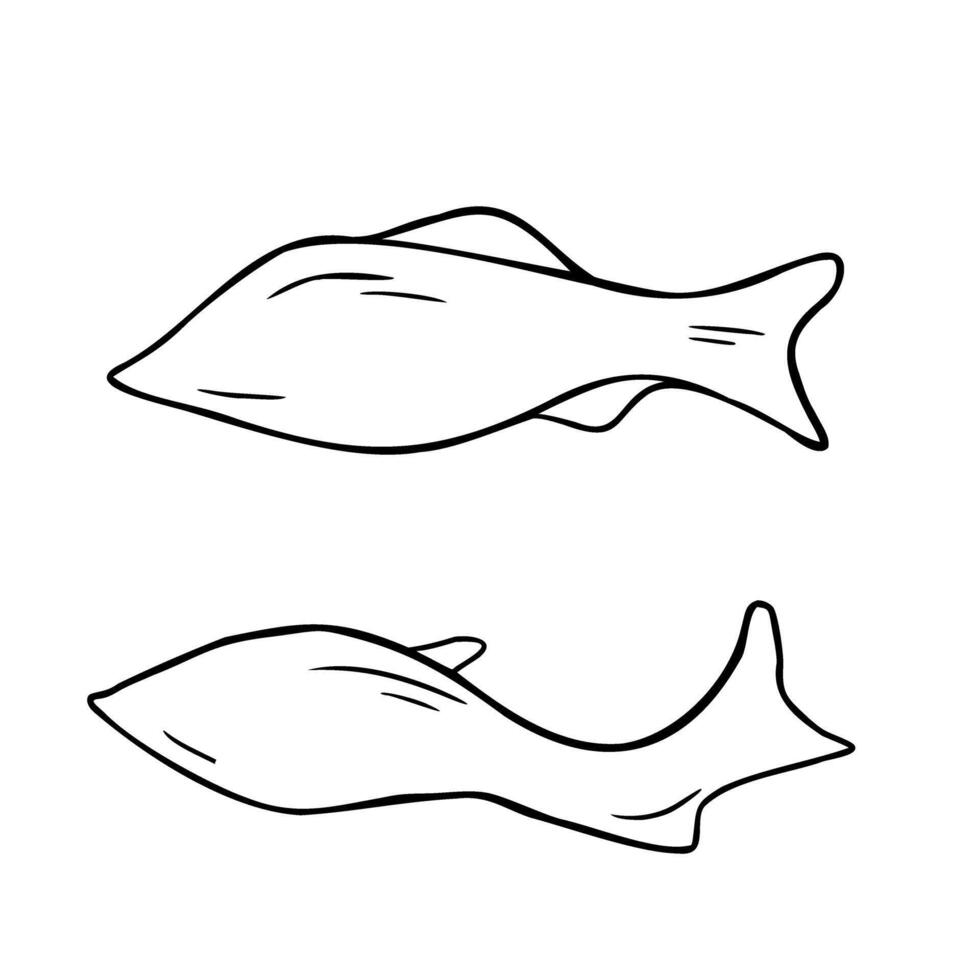 Silhouettes salmon, trout black and white illustration isolated. Swimming fishes hand drawn ink silhouette. Simple sea fish in contour. Fish elements for package, label, menu, market vector
