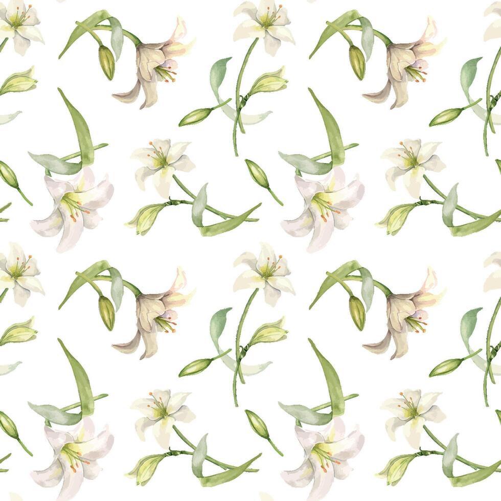 Flowers pastel color seamless pattern isolated on white. White lilies watercolor background. Backdrop with lilium and leaves. Floral design for wedding invitation, christening, Easter card, textile. vector