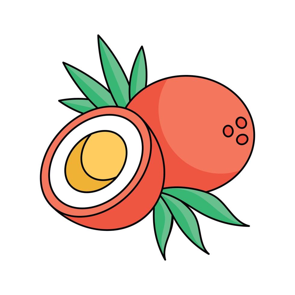 Summer, beach, exotic drink, tropical coconut design vector