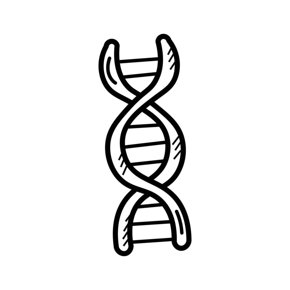 Check this carefully crafted doodle icon of dna, ready to use vector