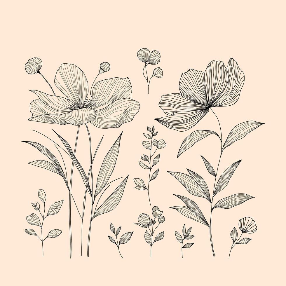 Minimalistic line art floral illustration on a soft beige background, featuring elegant black outlines of flowers and leaves. Graphic design, wall art, or as a botanical motif vector